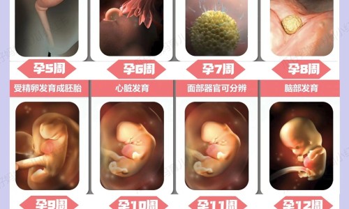 脊柱侧弯导致心脏舒张功能下降-脊柱侧弯压迫心肺怎么办、脊椎侧弯会影响心脏吗 -脊柱侧弯压迫心脏症状网